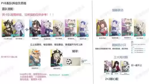 悬赏猫咪阵容