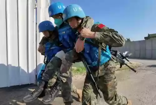 维和阵容插图 维和阵容插图