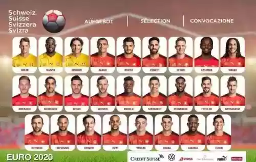 瑞士的阵容插图 瑞士的阵容插图