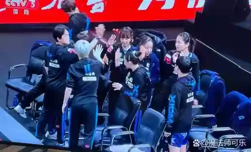 wbc韩国阵容插图