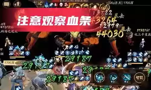 蜘蛛阵容搭配表图高清图片