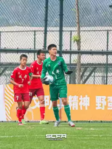 阵容添翼
