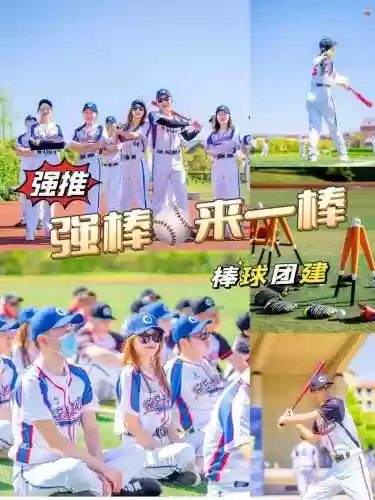 棒球阵容6