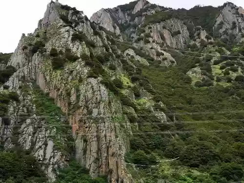 核桃村阵容