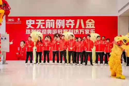 跳跳乐阵容插图