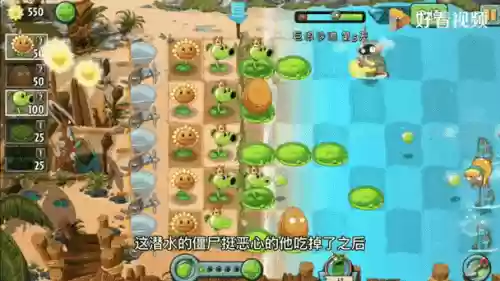 芦笋战机阵容