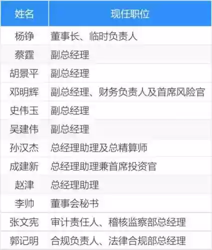 2030平安阵容