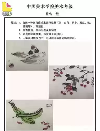 花鸟技能修改