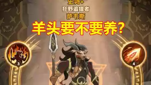 羊头什么阵容