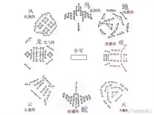 鸟阵阵容