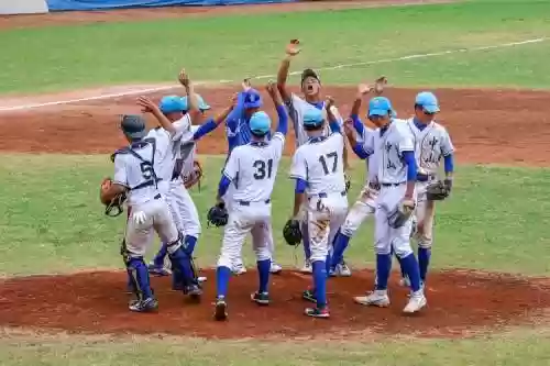 棒球阵容6插图 棒球阵容6插图