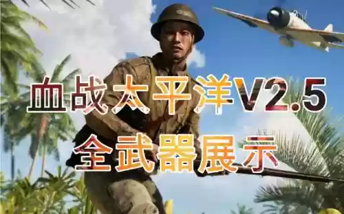 战地2全武器版插图