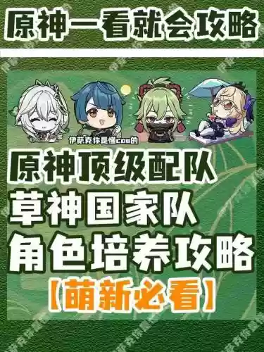 草队阵容插图