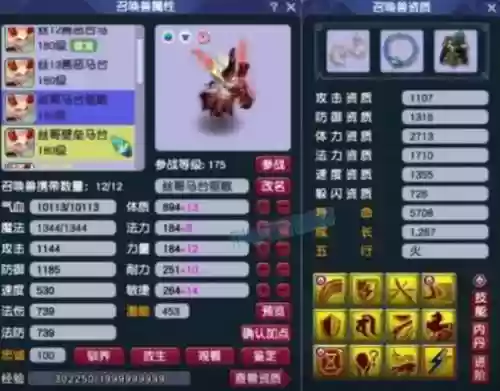 梦幻西游宠物耐力插图