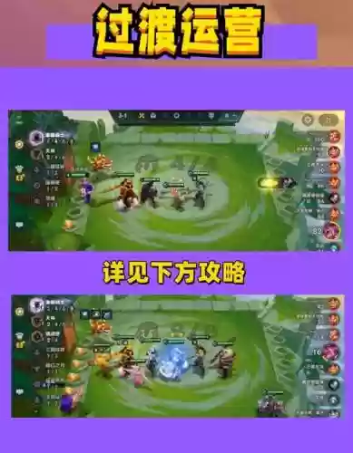 猴子打架阵容