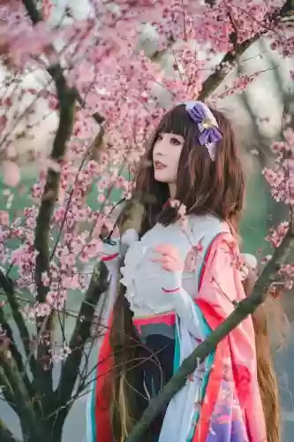 刑部姬阵容插图