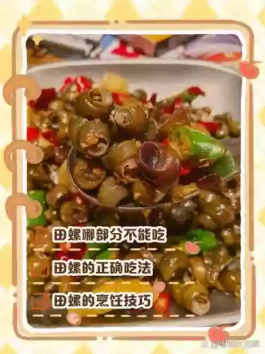 重制田螺攻略