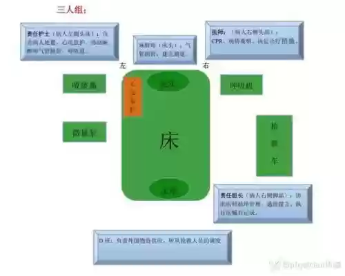 抢救阵容插图