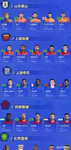 外援组阵容插图 外援组阵容插图