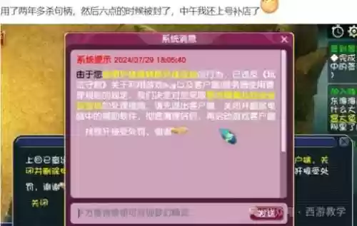梦幻西游手游账号被永久隔离插图