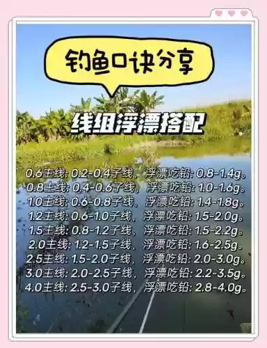 浮台钓鱼阵容搭配插图