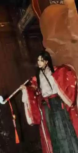 郭嘉新阵容插图