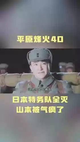 平原烽火阵容插图