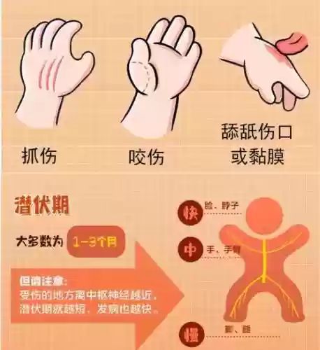 咬咬是什么技能插图