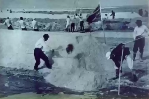 盐场群众阵容插图 盐场群众阵容插图