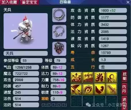 梦幻西游2天将怎么加点插图