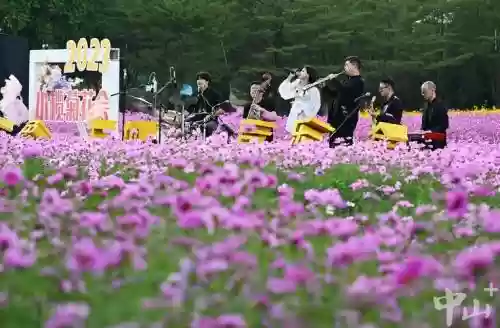 花海比赛阵容
