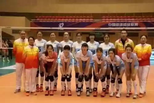 河北女排阵容插图