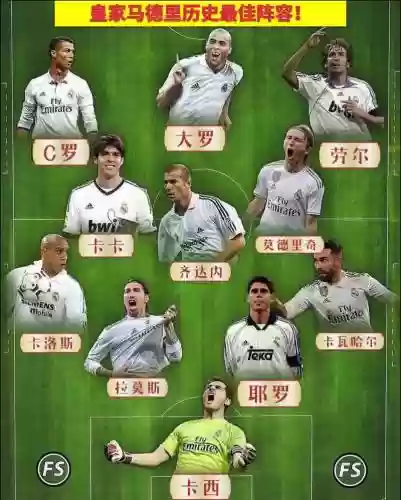 皇萨阵容