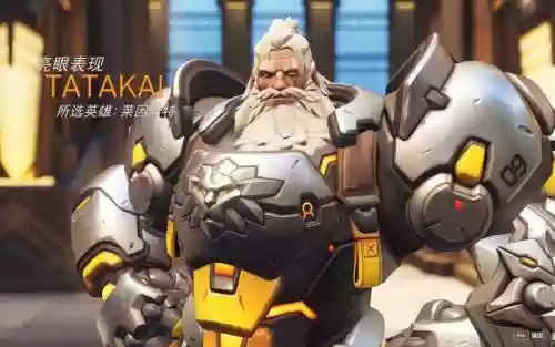 莱因哈特阵容搭配插图
