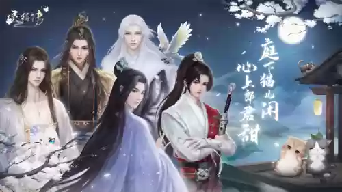 灵猫传阵容