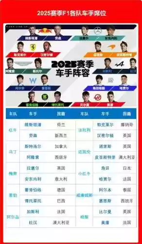 车手阵容系列插图