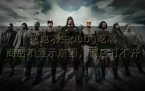 绝地求生怎么没显示装备插图