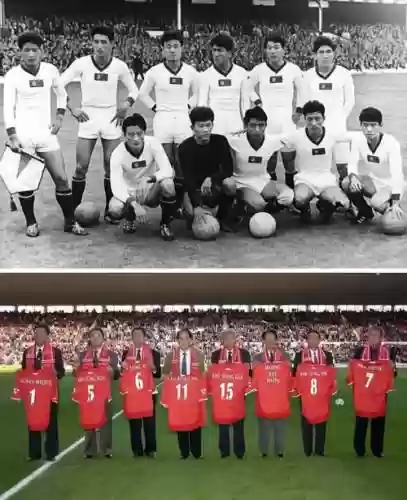 1966朝鲜阵容
