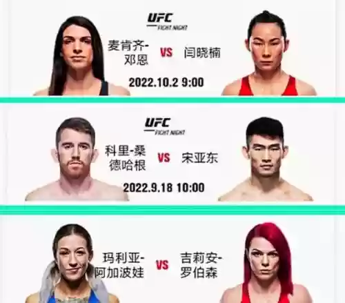 279新阵容插图1