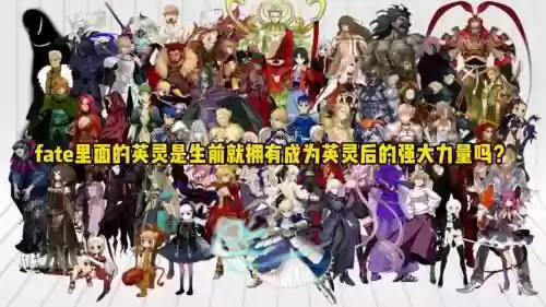 fatego阵容最新插图