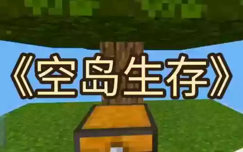 超大空岛生存攻略