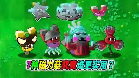 磁力菇阵容_1