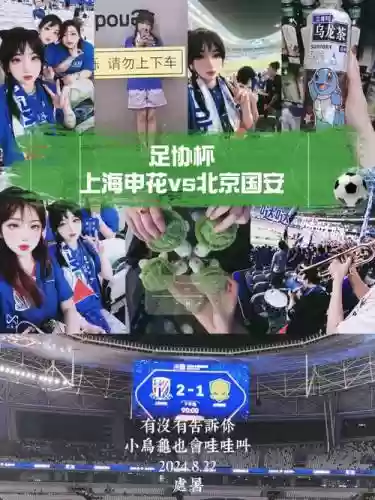 国安阵容乌龟插图