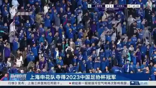 冠军阵容2023插图 冠军阵容2023插图