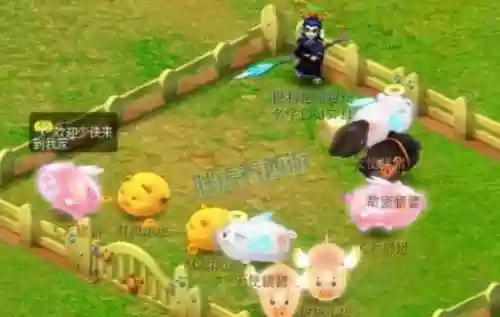 梦幻西游没变成猪之前插图