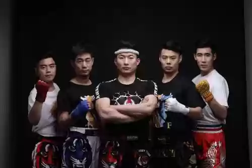 泰拳教练阵容插图
