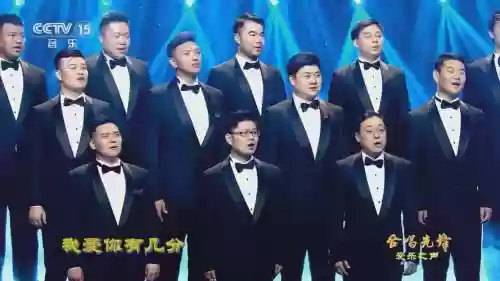 男声合唱阵容