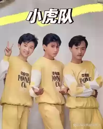 虎猫组合阵容插图