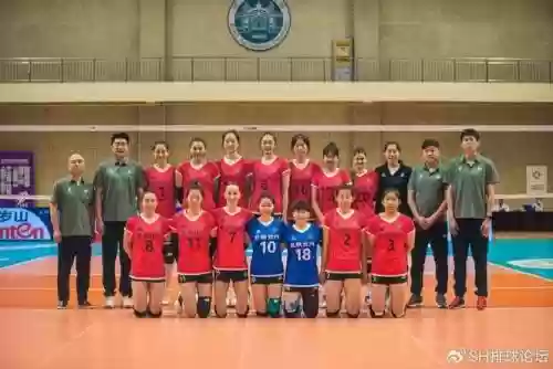 河北女排阵容