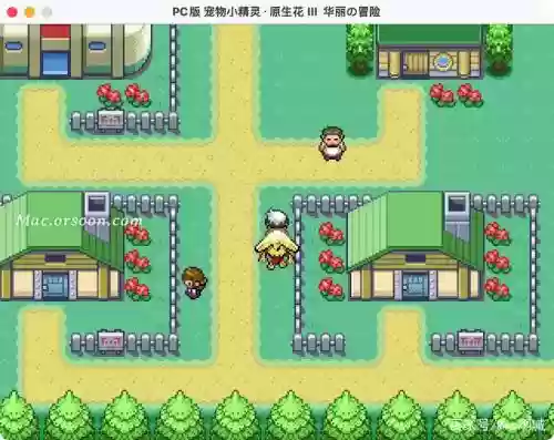 宠物小精灵原生花3华丽的攻略插图 宠物小精灵原生花3华丽的攻略插图